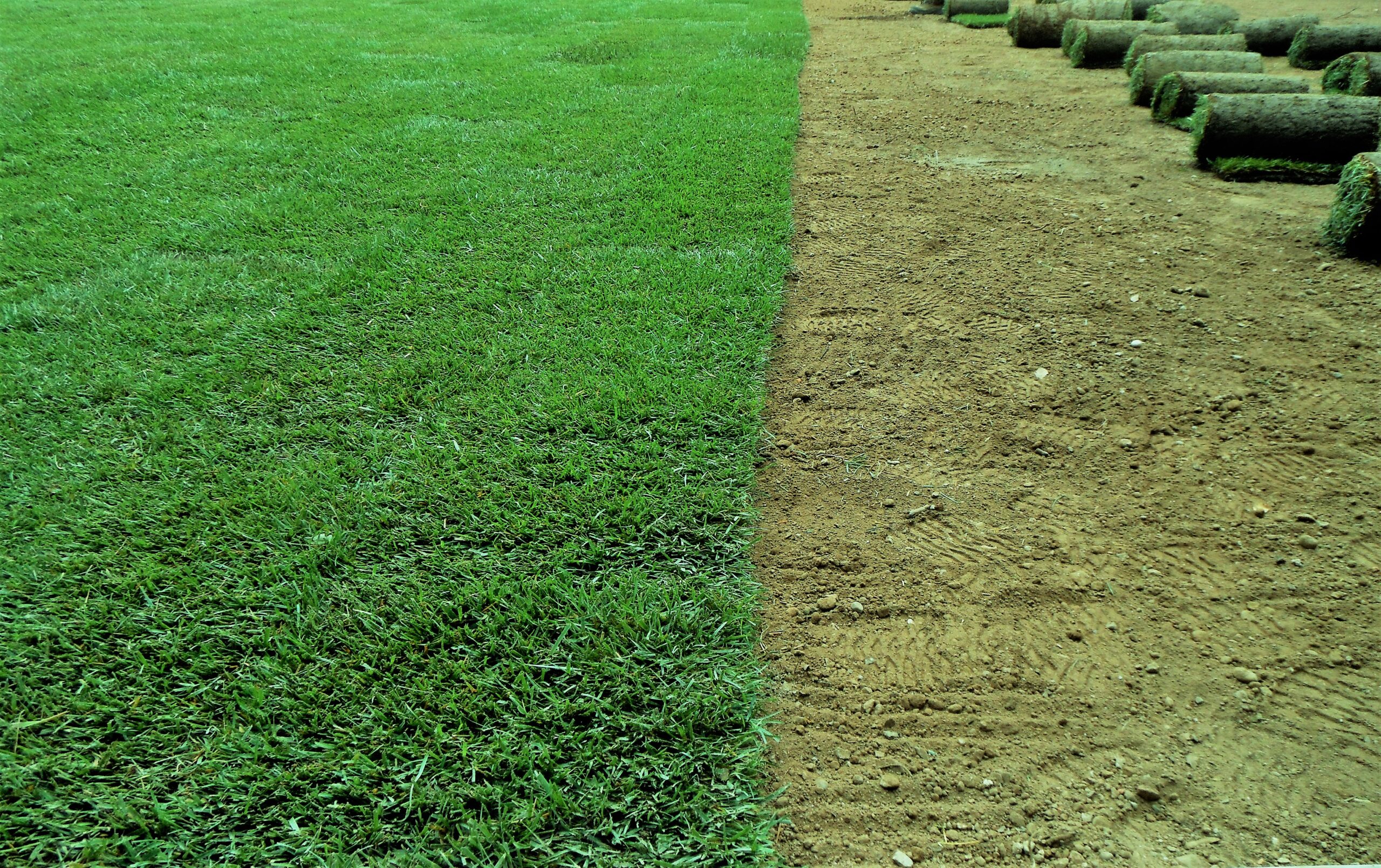 manutenzione del verde in area aziendale